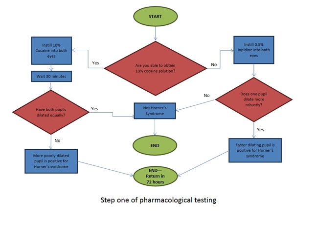 Flowchart of First Step of Pharmacological Testing