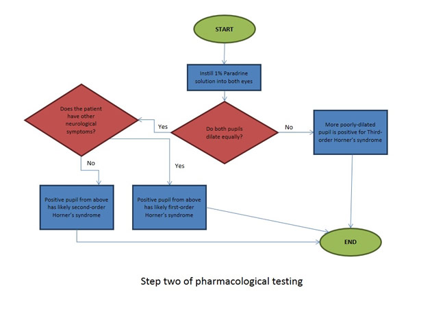 Flowchart of Second Step of Pharmcological Testing